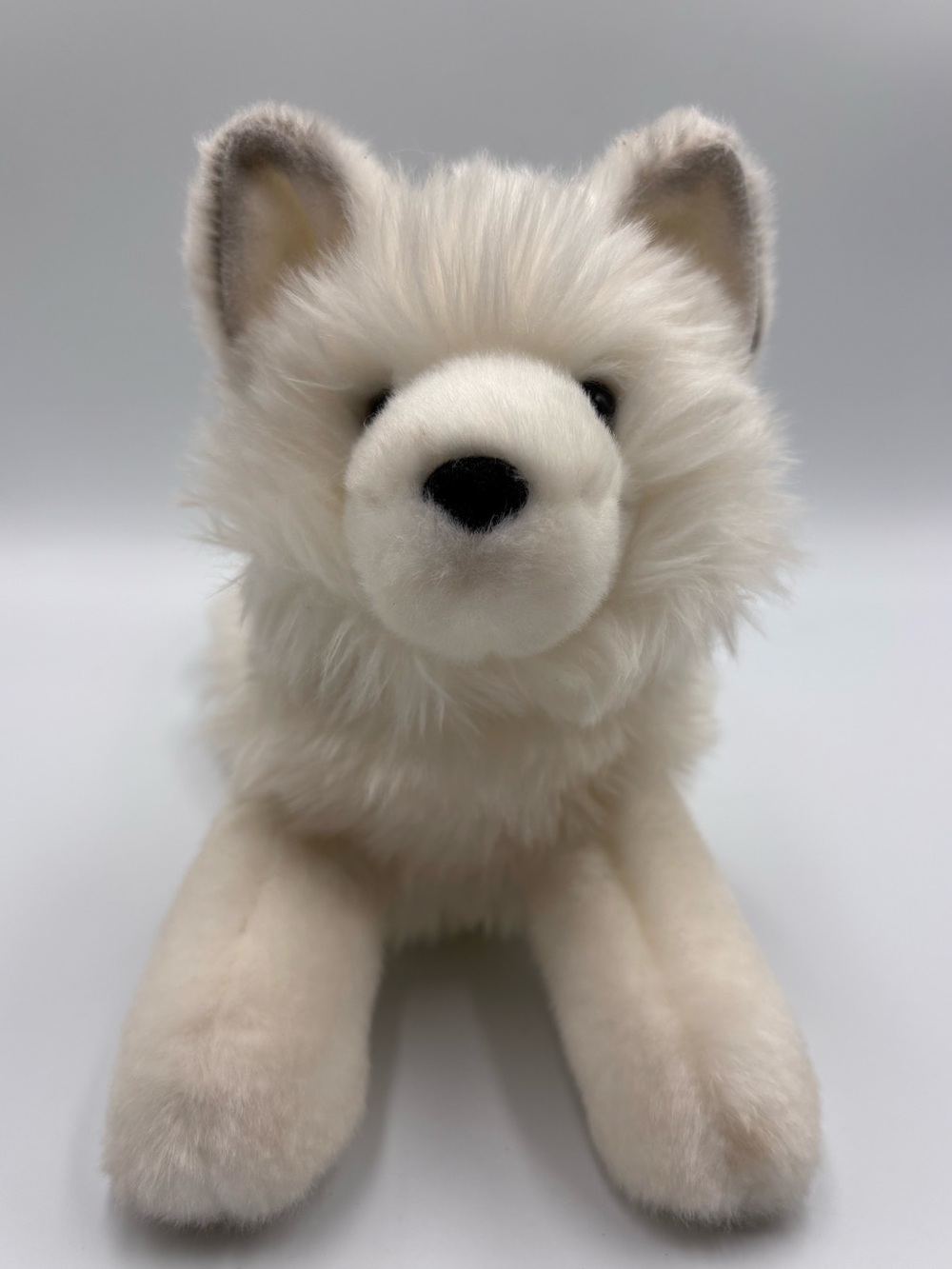 Yuki the Arctic Fox Plush by Douglas Toys #1727 White Black Tipped Ears 11"
